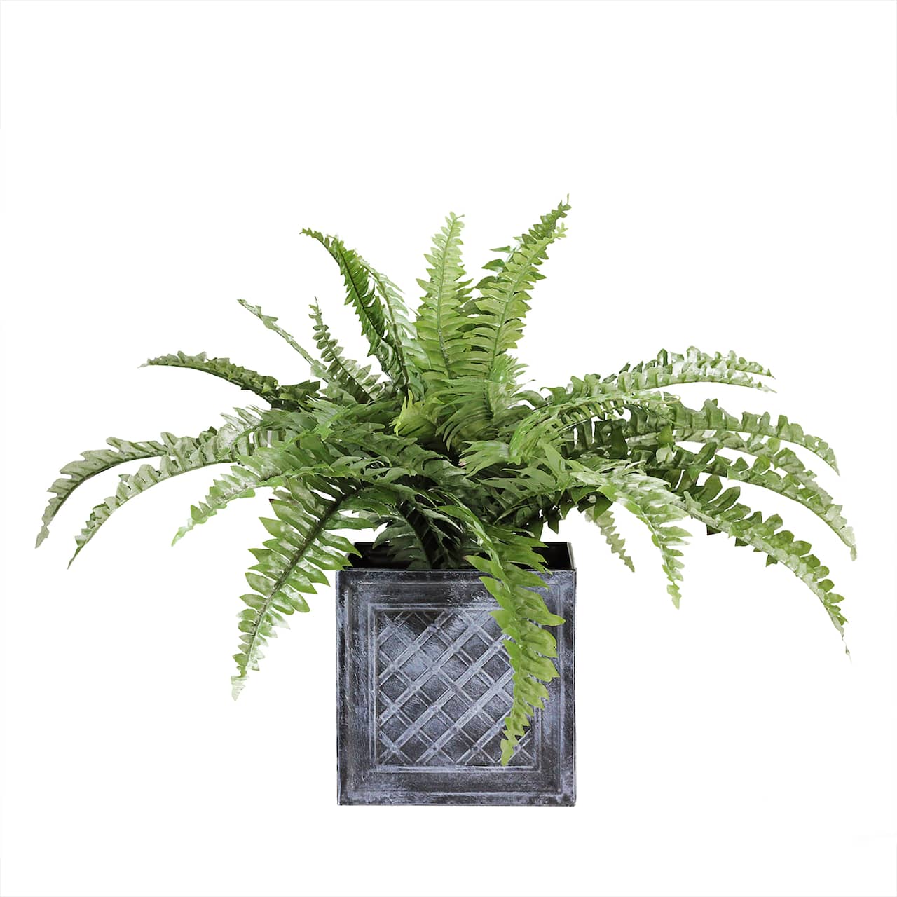 20" Green Artificial Boston Fern in Black Tin Pot